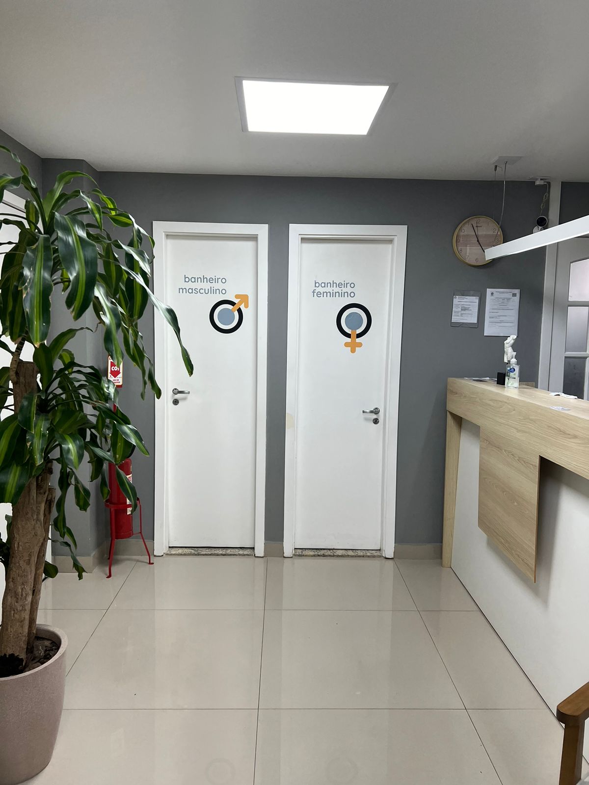 Imagem do WhatsApp de 2024-10-22 à(s) 19.49.17_62544b6d